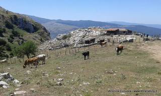 Rocche del Crasto